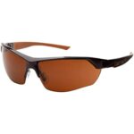 Carhartt - CHB1118DT Braswell Anti-Fog Safety Glasses Eye Protection, Black Frame, Bronze Lens