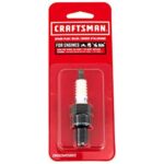 Craftsman CMXGZAM250012 Current Walk 2 BPR6ES 751-10292 Spark Plug, Black