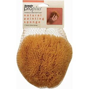Armaly ProPlus 5 in. W X 4.5 in. L Beige Natural Sponge Painting Sponge (Case of 6)