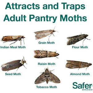 Safer Brand The Pantry Pest Insect Trap 2 pk - Image 3