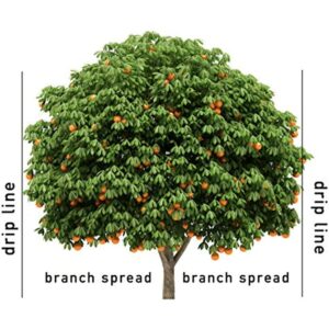 Jobe's 1612 Fruit & Citrus Tree Spikes, 15 Spikes, Brown - Image 6