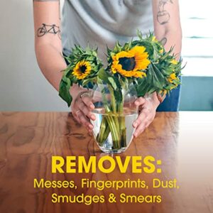 Pledge Multi-Surface Furniture Polish Wipes, Works on Wood, Granite, and Leather, Cleans and Protects, Lemon (24 Total Wipes) - Image 6