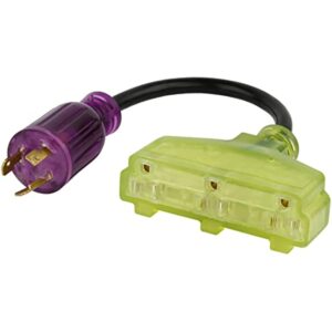 Reliance Controls Color Connect 12/3 SJTW 125 V 12 in. L Splitter Cord