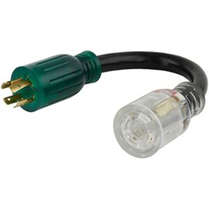 Reliance Controls Color Connect 12/3 SJTW 120/240 V 12 in. L Adapter Cord