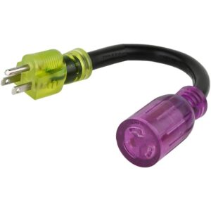 Reliance Controls Color Connect 12/3 SJTW 125 V 12 in. L Adapter Cord