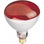 Westinghouse 250 W R40 Reflector/Heat Lamp Incandescent Bulb E26 (Medium) Red