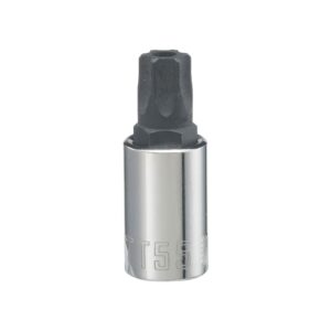 Craftsman T55 X 3/8 in. drive Metric and SAE 6 Point Torx Bit Socket CMMT42689