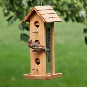 Perky-Pet Brown Wood Tin Jay Wild Bird Feeder - 2 lb Capacity - Image 3