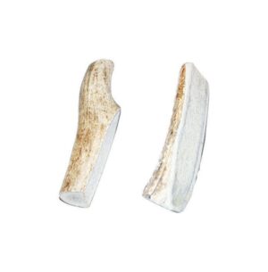 Bucky Bites Medium, Large All Ages Rawhide Sticks Antler 4 in. L 2 pk - Image 2