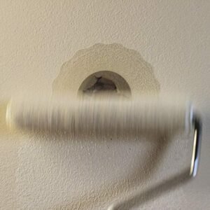 DAP 7079809163 Repair Eclipse Wall Patch, 4 Inch, Clear - Image 6