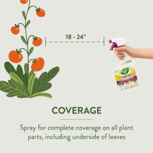 Garden Safe 32 oz. Fungicide Ready to Use - Image 7