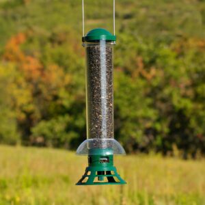 Perky-Pet 5141-2 Squirrel Slammer Wild Bird Feeder , Green - Image 4