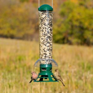 Perky-Pet 5141-2 Squirrel Slammer Wild Bird Feeder , Green - Image 7