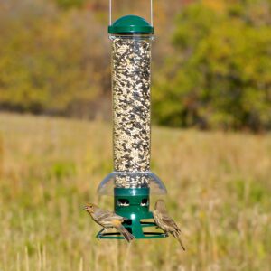 Perky-Pet 5141-2 Squirrel Slammer Wild Bird Feeder , Green - Image 6