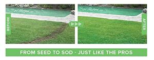 Hydro Mousse Liquid Lawn Fine Fescue Grass Full Sun Grass Seed 0.5 lb - Image 5