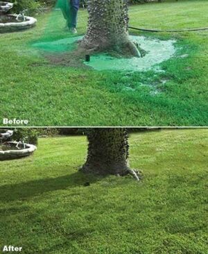 Hydro Mousse Liquid Lawn Fine Fescue Grass Full Sun Grass Seed 0.5 lb - Image 4