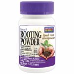 Bonide Bontone Powder Rooting Hormone 1.25 oz