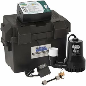 The Basement Watchdog 1/3 HP 2,600 gph Thermoplastic Dual Reed Switch Battery Backup Sump Pump