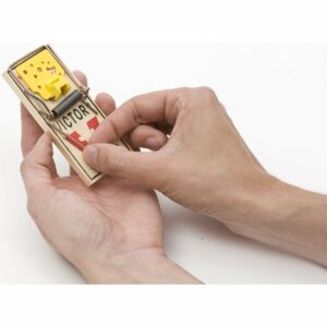 VICTOR Easy Set Mouse Trap - 2Pk - Image 3
