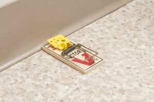VICTOR Easy Set Mouse Trap - 2Pk - Image 8