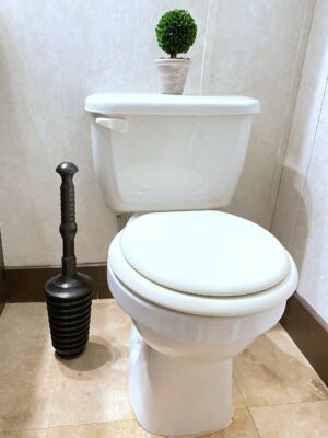 GT Water Products Master Plunger Bellows Plunger 18 1/2 in. L X 3 in. D MP500-3 - Image 9