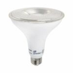 Greenlite PAR38 E26 Medium LED Motion Activated Bulb Bright White 100 Watt 1 pk