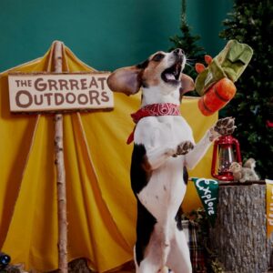 Bark Multicolored Plush Rucksack Dog Toy - Image 2