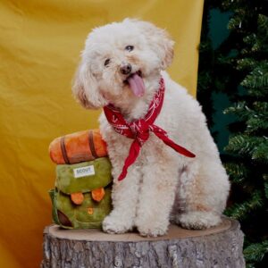 Bark Multicolored Plush Rucksack Dog Toy - Image 4