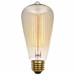 Westinghouse Lighting 0413200 60 Watt ST20 Amber Timeless Vintage Inspired Bulb with Medium Base