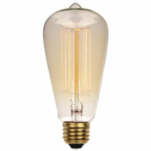 Westinghouse Lighting 0413200 60 Watt ST20 Amber Timeless Vintage Inspired Bulb with Medium Base