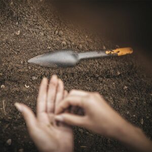 Fiskars 340110-1001 Seed Planting Trowel, Black - Image 6