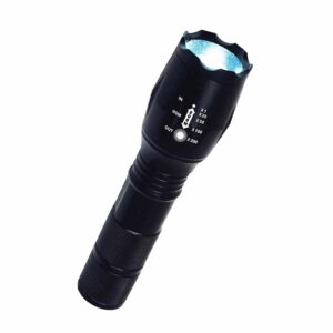 BulbHead Atomic Beam 1200 lm Black LED Flashlight AAA Battery