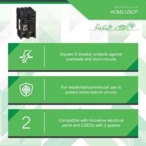Square D 125 amps 2-Pole Circuit Breaker HOM2125CP - Image 4
