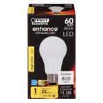 Feit A19 E26 (Medium) LED Bulb Bright White 60 Watt Equivalence