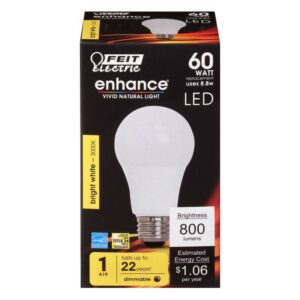 Feit A19 E26 (Medium) LED Bulb Bright White 60 Watt Equivalence