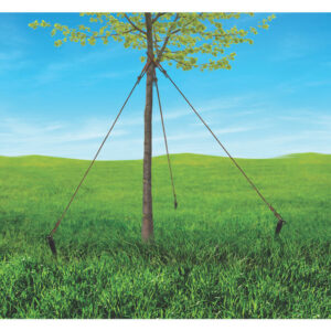 Bond 10 in. H Black Plastic Tree Stakes 3-pack 658 - Image 3