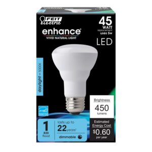Feit Enhance R20 E26 (Medium) LED Bulb Daylight 45 Watt Equivalence