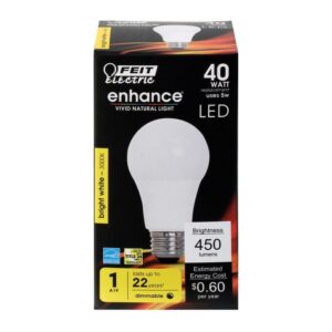 Feit A19 E26 (Medium) LED Bulb Bright White 40 Watt Equivalence