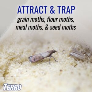 TERRO Pantry Moth Trap 2 pk T2900 - Image 3