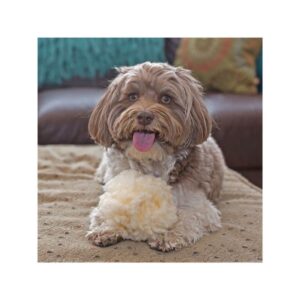 HuggleHounds Beige Fleece Ball Dog Toy Small - Image 5