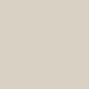 Samplize Benjamin Moore Pale Oak Peel & Stick Color Sample - Image 2