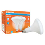 Sylvania Natural BR40 E26 (Medium) LED Floodlight Bulb Daylight 85 Watt Equivalence