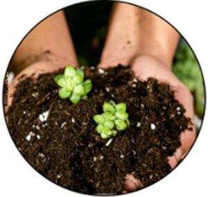 FoxFarm Happy Frog Soil Conditioner 1.5 ft - Image 5
