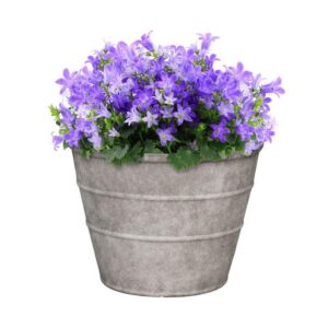 Polyresin Hamilton Planter Stone - Image 2