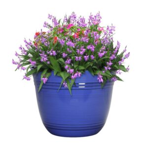Polyresin Galileo Planter Cobalt - Image 2