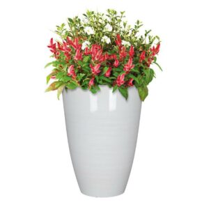 Polyresin Baja Planter White - Image 2