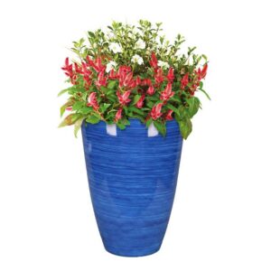 Polyresin Baja Planter Cobalt - Image 2