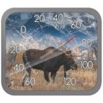 Taylor Moose Dial Thermometer Plastic Multicolored