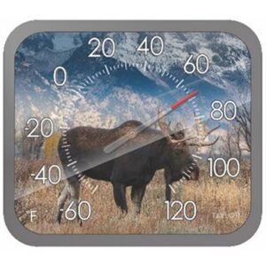 Taylor Moose Dial Thermometer Plastic Multicolored