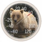 Taylor Bear Dial Thermometer Plastic Multicolored (Case of 4)